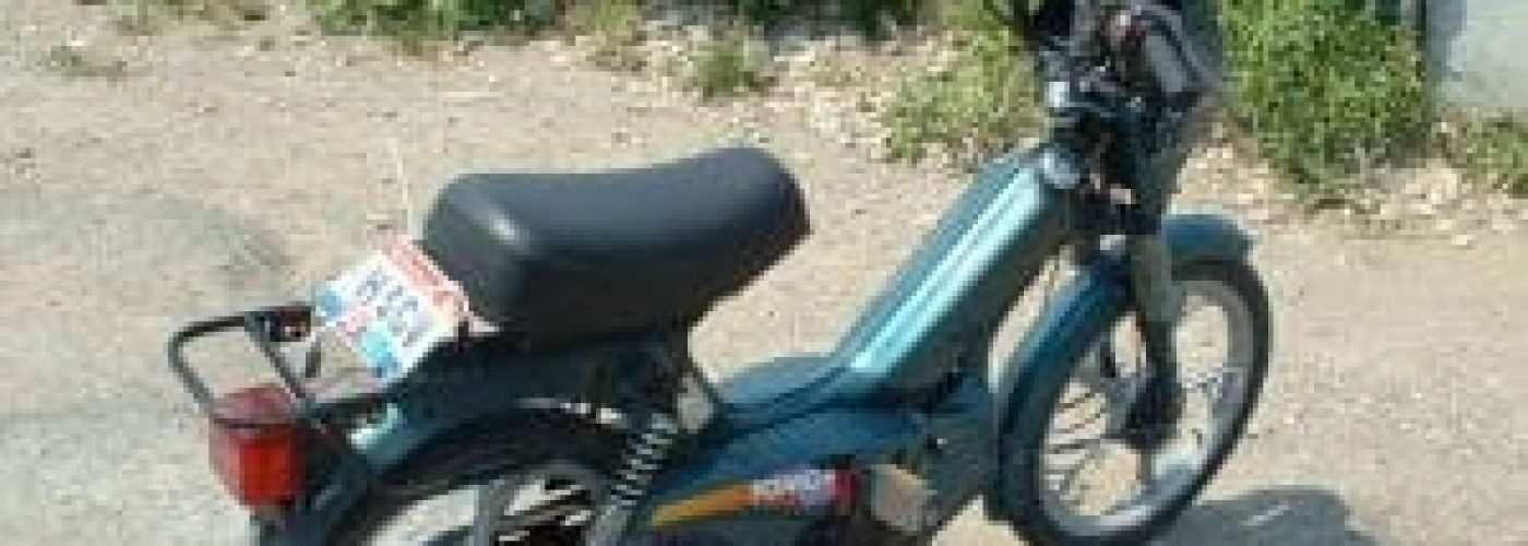 Moped Rentals