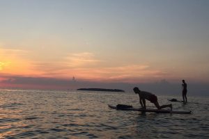 Bay Paddleboarding