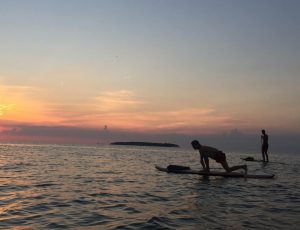 Bay Paddleboarding