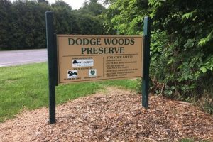 Dodge Woods Preserve