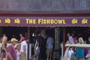 The Fish Bowl