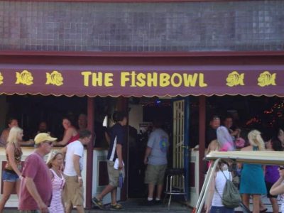 The Fish Bowl The Fish Bowl