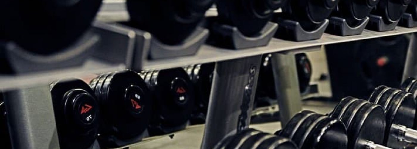 Muscle Bay Fitness