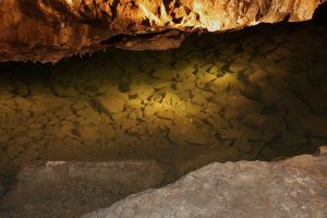 Perry’s Cave Family Fun Center Perry’s Cave Family Fun Center