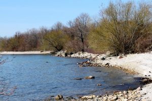 Scheeff East Point Preserve