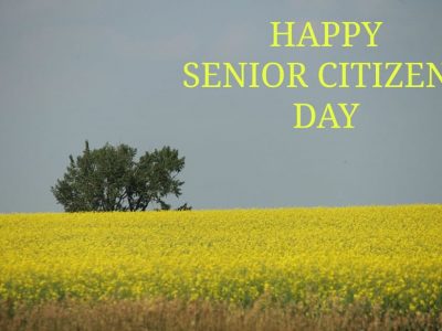 Senior Citizens Day Senior Citizens Day